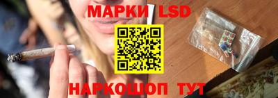 молекула духа Донской