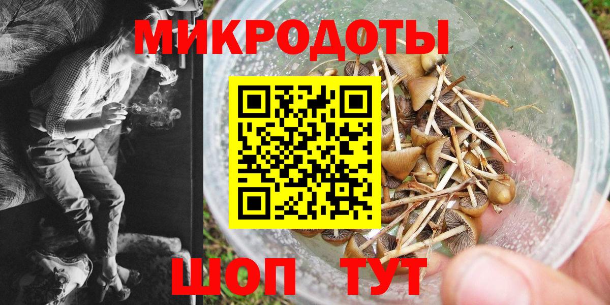 Псилоцибиновые грибы мицелий Можайск