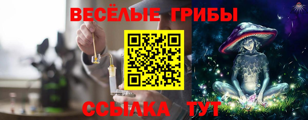 Псилоцибиновые грибы Psilocybine cubensis  Псилоцибиновые грибы MAGIC MUSHROOMS  Можайск  Вход с VPN 